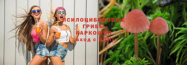 гидра Вяземский