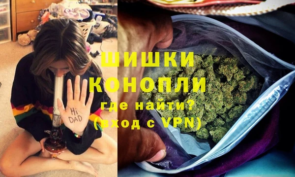 гидра Вяземский