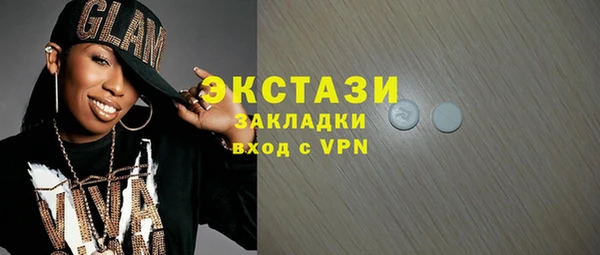 гидра Вяземский