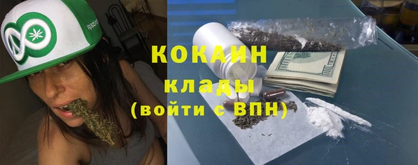 гидра Вяземский