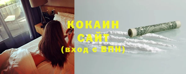 гидра Вяземский