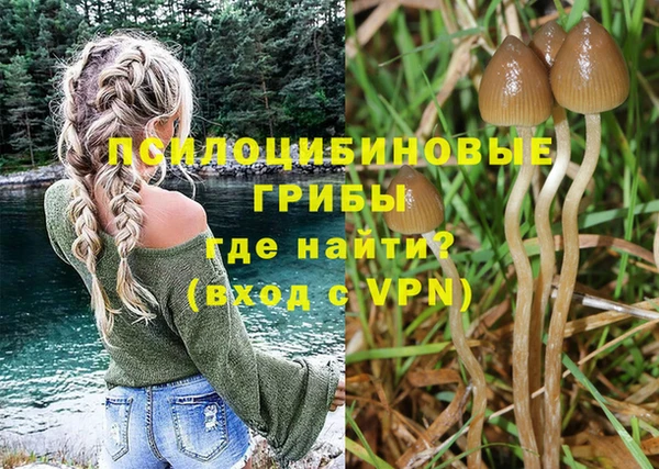дживик Вязьма