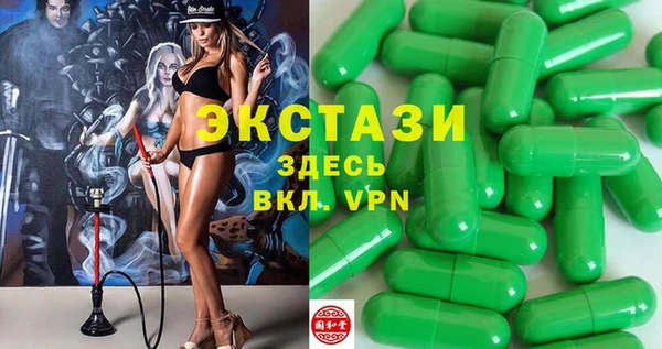 гидра Вяземский