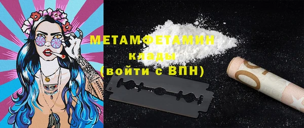 гидра Вяземский