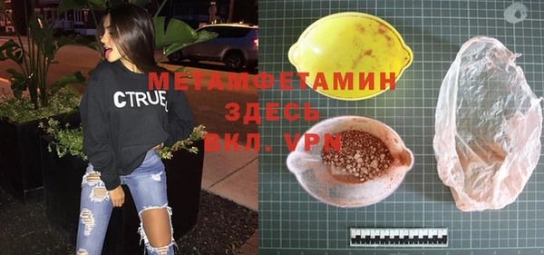гидра Вяземский