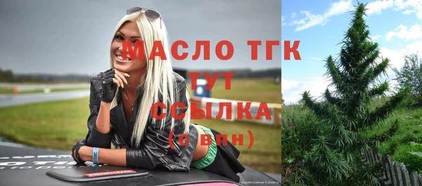 гидра Вяземский