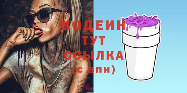 гидра Вяземский