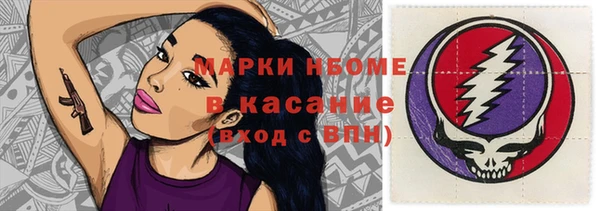 гидра Вяземский
