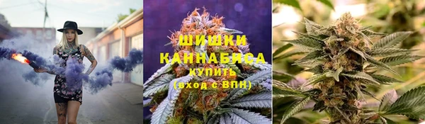 гидра Вяземский
